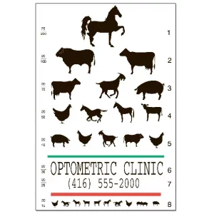 Custom Optometry Reminder Card – Animals on the eye chart – OPT122PCC