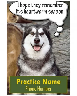 VETERINARIAN REMINDER CARDS – YOUR OWN IMAGE