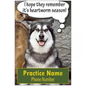 VETERINARIAN REMINDER CARDS – YOUR OWN IMAGE